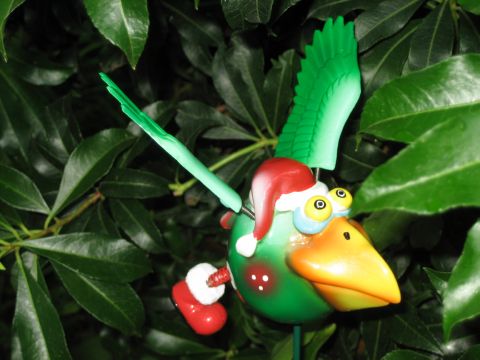 Red Dodo w/Stars reddodo. Red Dodo w/Stars